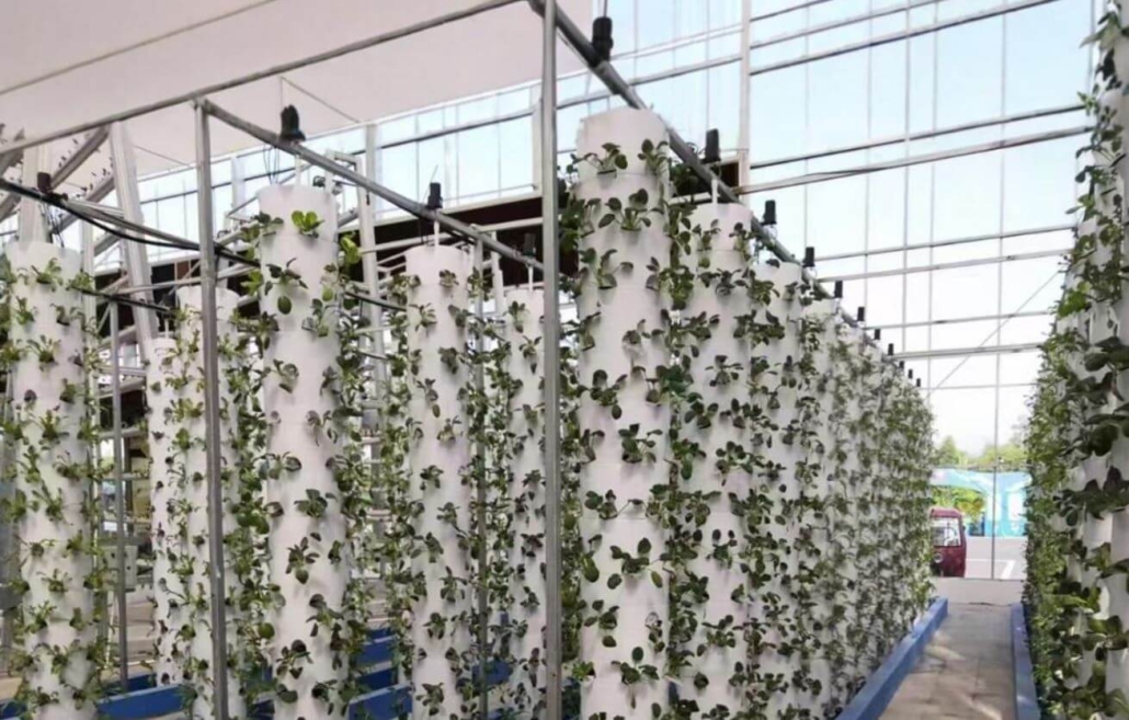 vertical hydroponic farming