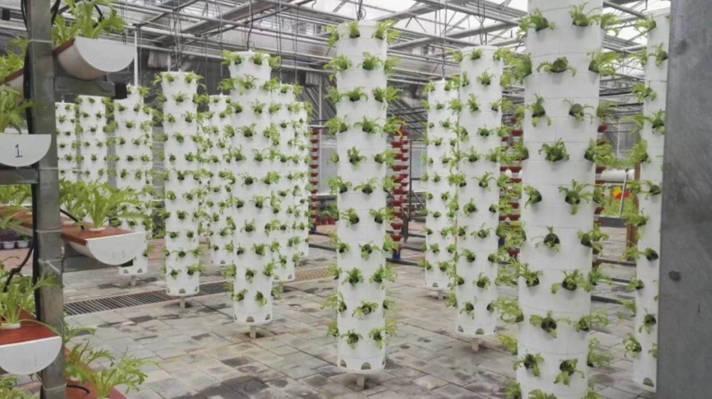 vertical hydroponic garden system